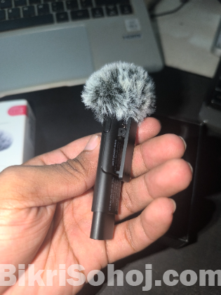 Wireless Microphone WM-10